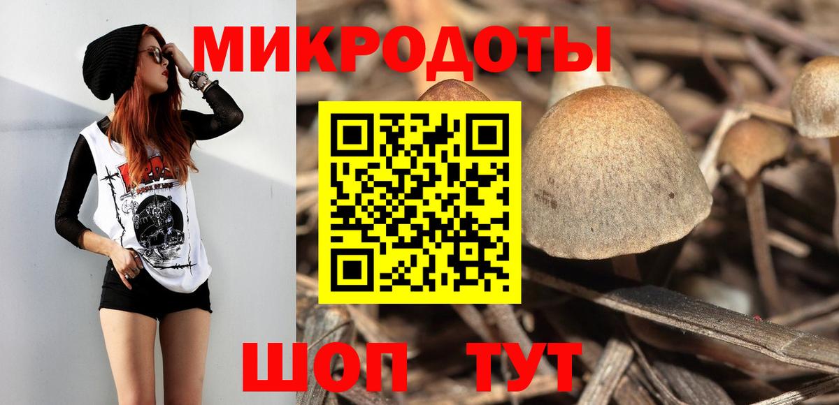 Саянск  Галлюциногенные грибы прущие грибы  где купить наркоту  Вход с VPN 